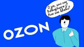 Агентский отчет продавцу на Ozon: что это означает в Подруга