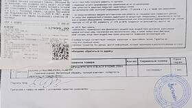 Что делать если потерян чек DNS в Подруга