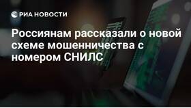 Что могут мошенники через СНИЛС в Подруга