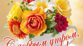 Что можно отправить девушке утром в Подруга