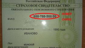 Что означают номера СНИЛС в Подруга