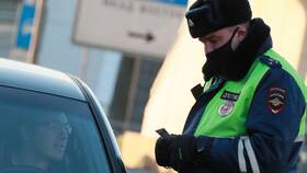 Что входит в ГИБДД в Подруга