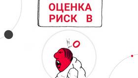 Для чего организации используют результаты оценки рисков в Подруга