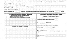 Из чего состоят страховые взносы в Подруга