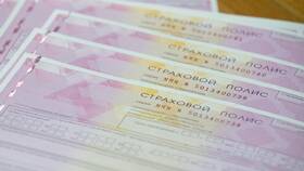 Как добавить номер авто в полис ОСАГО в Подруга