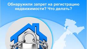 Как наложить арест на регистрационные действия в Подруга