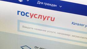 Как подать заявку на путевку через портал Госуслуги в Подруга