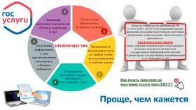 Как подать заявление на высшую категорию через Госуслуги в Подруга
