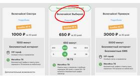 Как подключить платные услуги на Мегафоне в Подруга