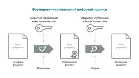 Как подписать декларацию электронной подписью (ЭЦП) в Подруга