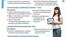 Как получить выписку из СФР через Госуслуги в Подруга