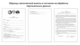 Как правильно подать документы в Подруга