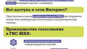 Как проголосовать через Госуслуги: пошаговая инструкция в Подруга