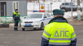 Как проверить и оплатить штрафы ГИБДД через Госуслуги в Подруга