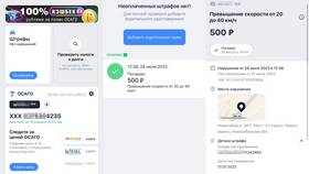 Как проверить неоплаченные штрафы ГИБДД в Подруга