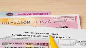 Как проверить полис ОСАГО по госномеру в Подруга