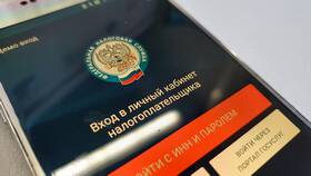 Как проверить задолженность по ИНН физического лица в Подруга