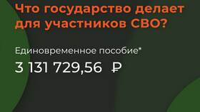 Как распределяют выплаты погибшим на СВО в Подруга