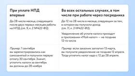 Как самозанятый оплачивает аренду в Подруга