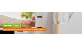 Как заказать выписку через СБИС в Подруга