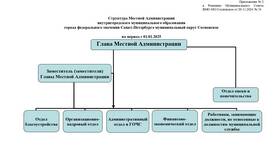 Органы местного самоуправления как юридические лица в Подруга