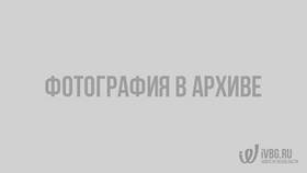 Почему просят оплатить через СПБ в Подруга