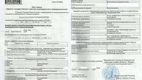 Свидетельство о государственной регистрации ИП: что это в Подруга