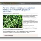Почему в России так много запретов