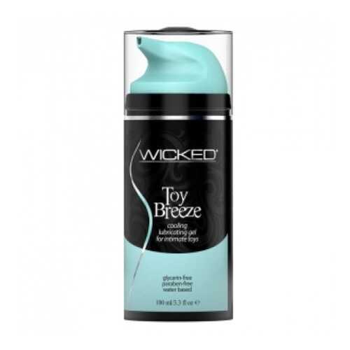 Гель-смазка Wicked Toy Breeze 100 мл в Подруга