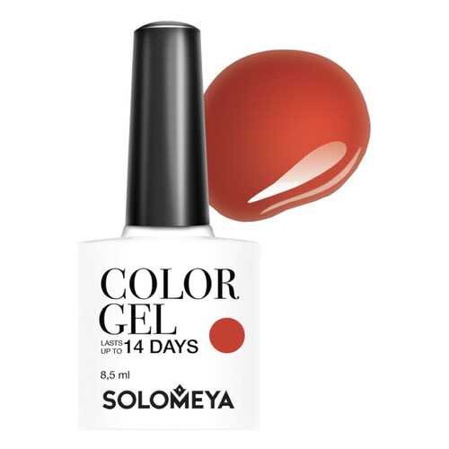 Гель-лак для ногтей Solomeya Color Gel Алира в Подруга