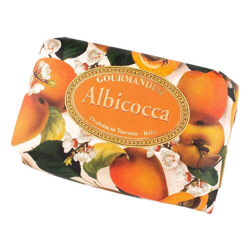 Косметическое мыло Gourmandise Savon Parfume Albicocca 200 г в Подруга